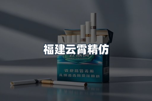 福建云霄精仿